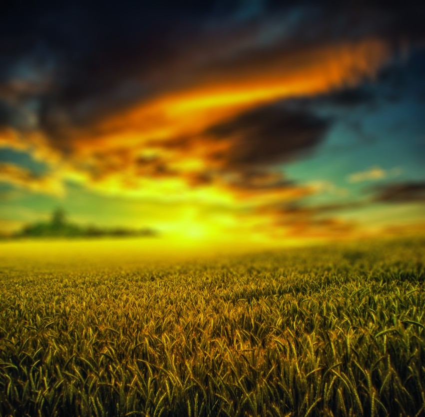 Sunset Farm CB Editing Background Full HD Download