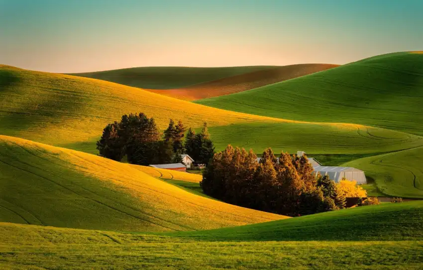 Sunset Farm Field Background HD Download