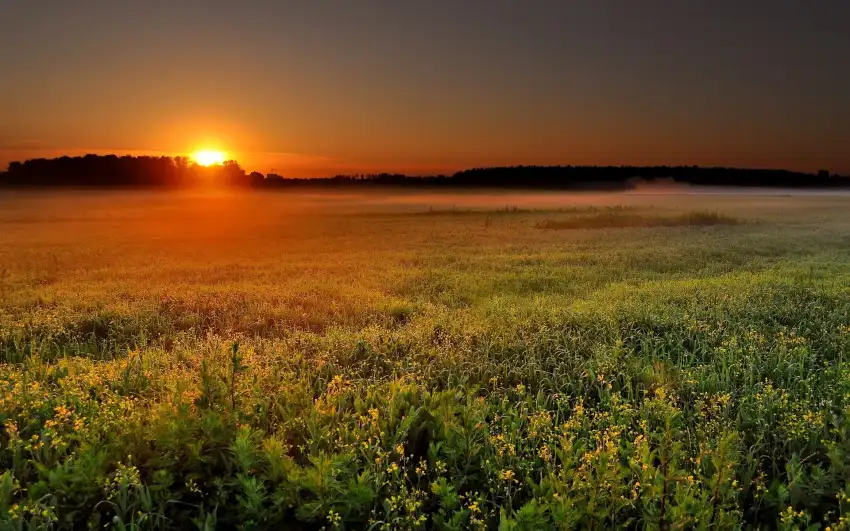 Sunset Farm Field Background HD Download