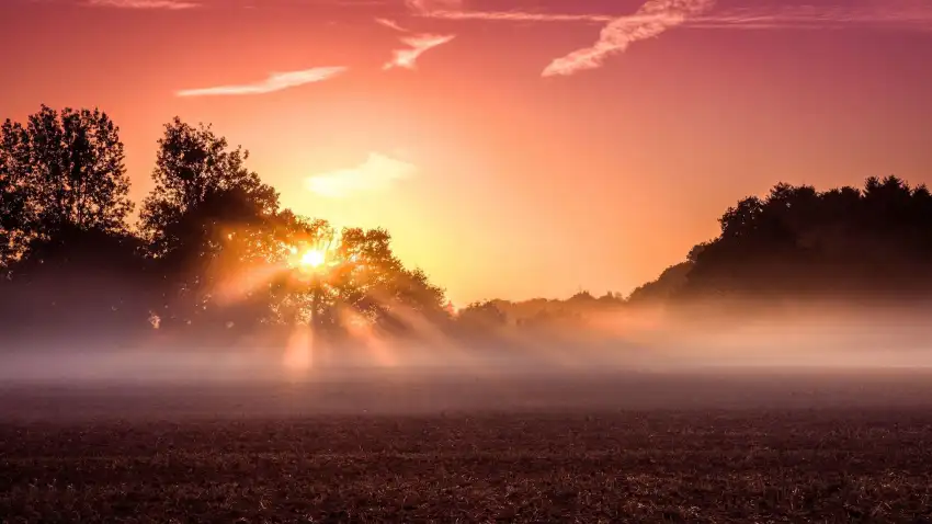 Sunset Field Background  HD Download