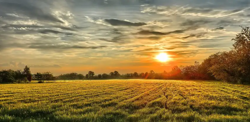 Sunset Field Background  HD Download