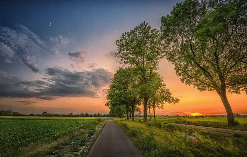 Sunset Field Background  HD Download