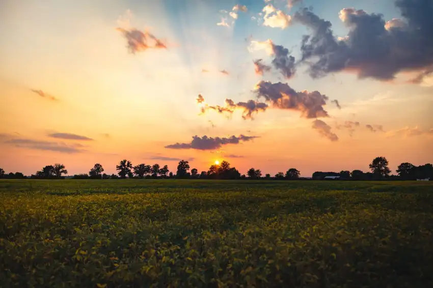 Sunset Field Background  HD Download