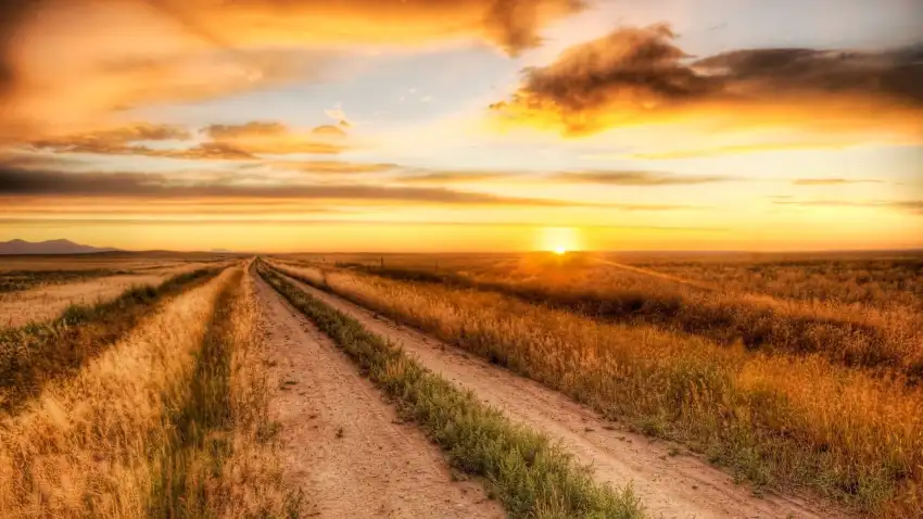 Sunset Field Background  HD Download