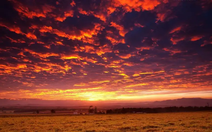 Sunset Field Background  HD Download