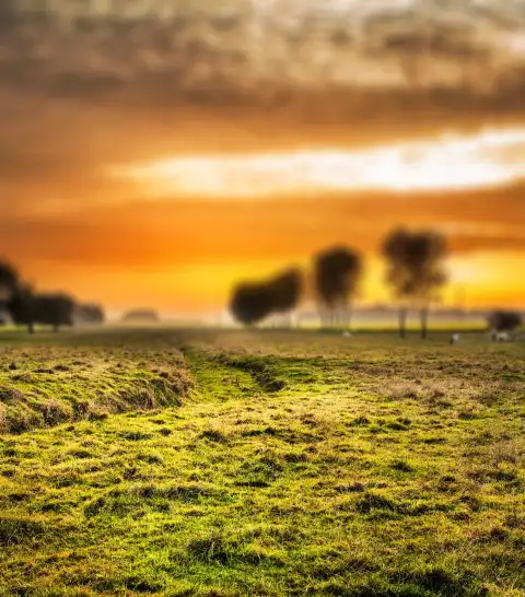 Sunset Field CB Picsart Editing Background HD Download