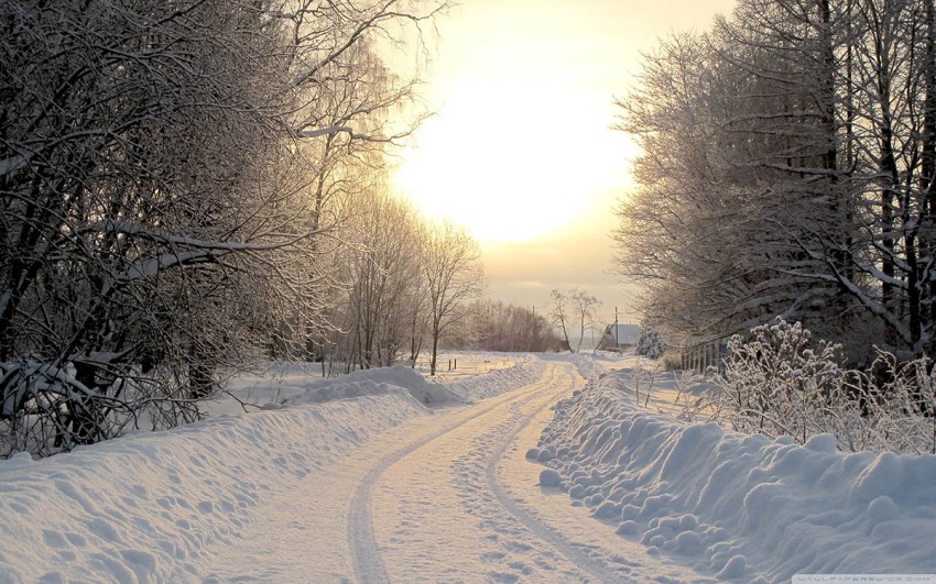 Sunset Forest Winter Road Background Full HD Download Free