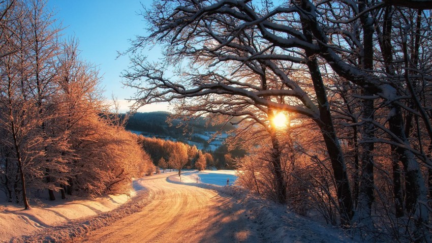 Sunset Forest Winter Road Background Full HD Download Free