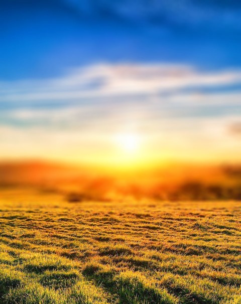 Sunset Grass CB Picsart Editing Background Full HD