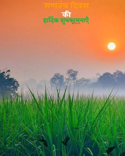 Sunset Grass Field 26 January Republic Day Editing Background