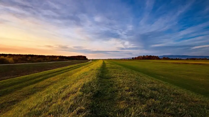 Sunset Open Field Background Wallpaper HD Download