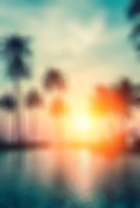 Sunset Palm Tree Background HD Donwload