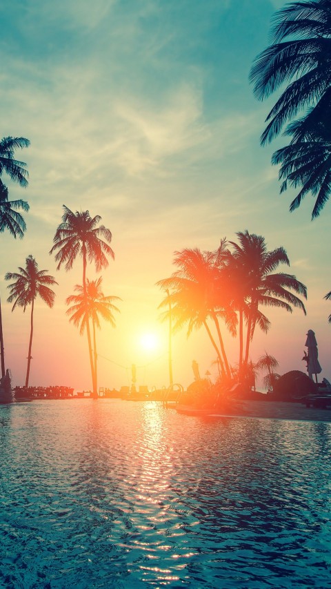 Sunset Palm Tree Phone Wallpaper Background HD