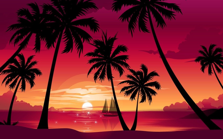 Sunset Palm Tree Photoshop Editing Background HD