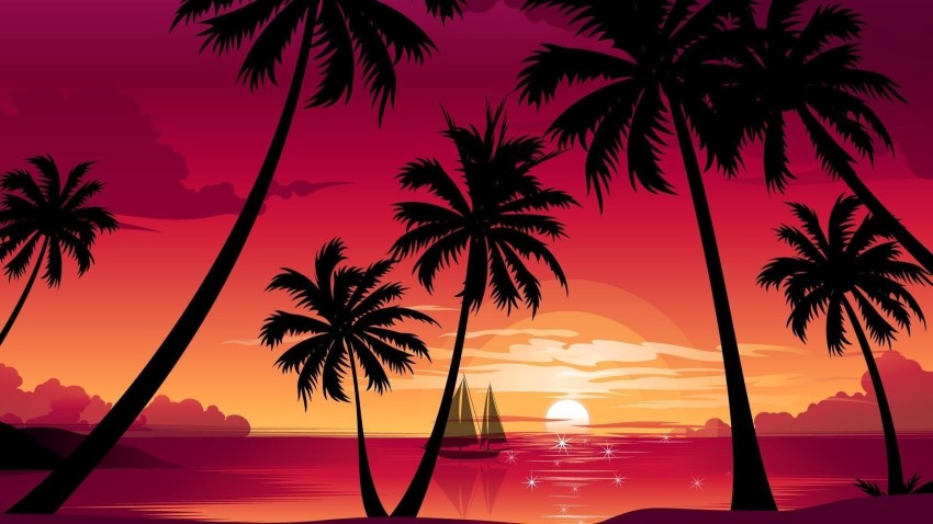 Sunset Palm Tree Photoshop Editing Background HD