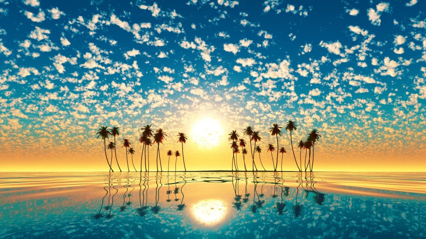 Sunset Palm Tree Wallpaper Background Full HD