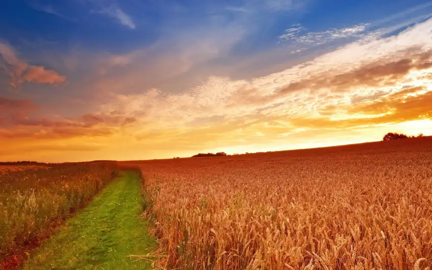 Sunset Sky Farm Field Background HD Download