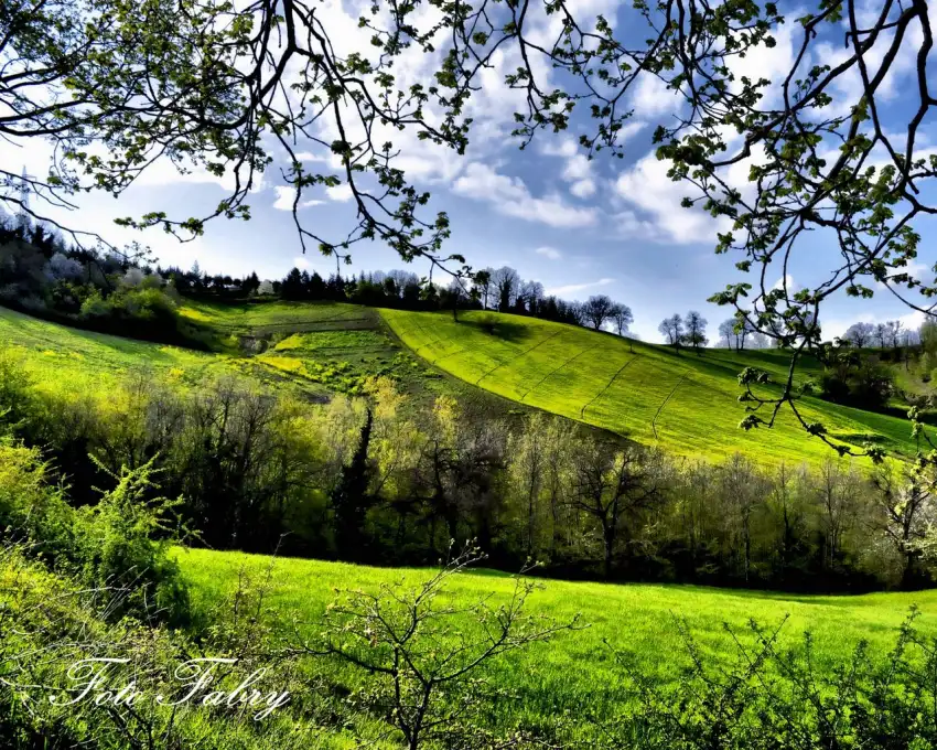 Sunset Sky Spring Field Background HD Download