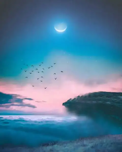 Sunset Sky With Moon Flying Bird PicsArt Photo Editing Background