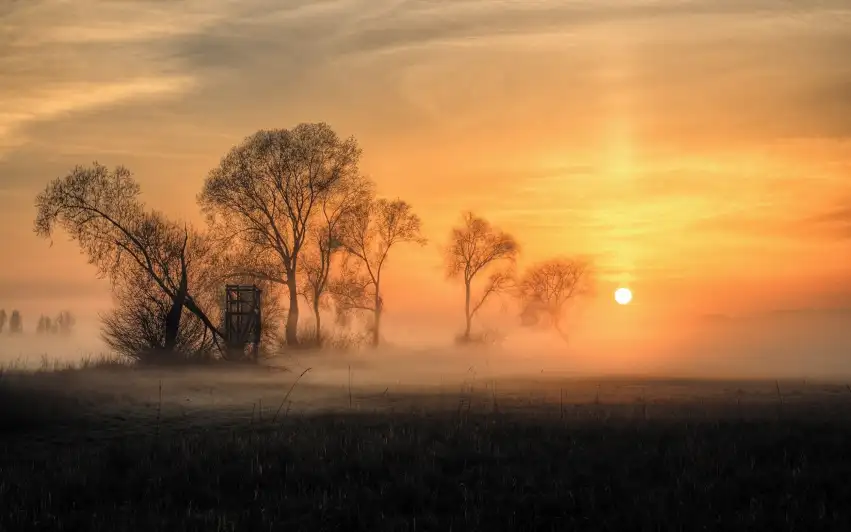 Sunset Sunrise Field Background HD Images Download