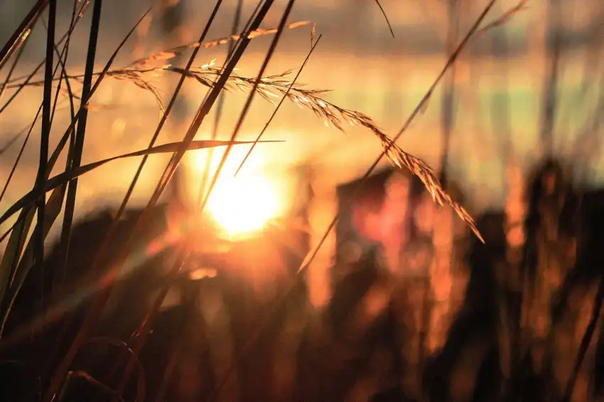 Sunset Sunrise Field Background HD Images Download