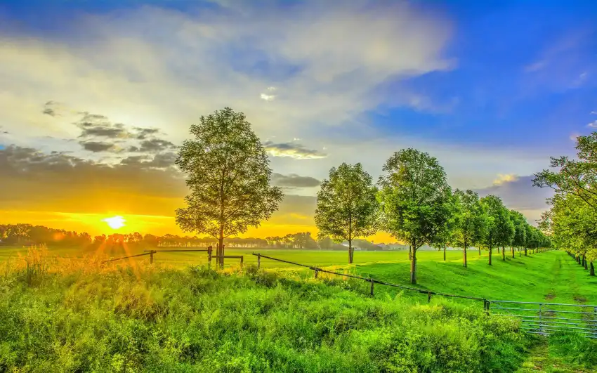 Sunset Sunrise Field Background HD Images Download