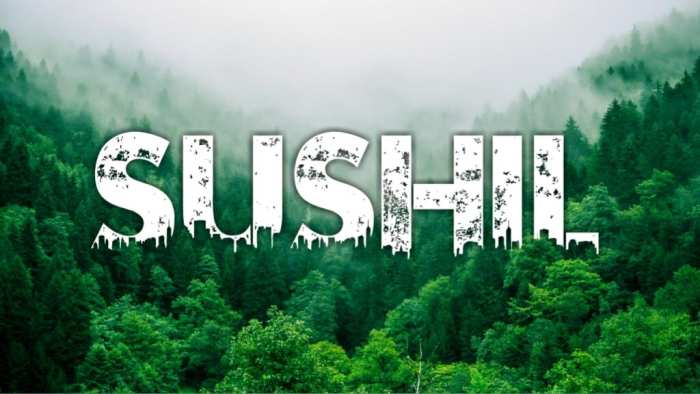 Sushil Urban Jungle Background Photo Free Stock Free HD Images