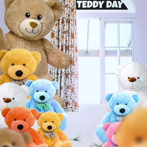 Taddybear Snapseed Background Full Hd