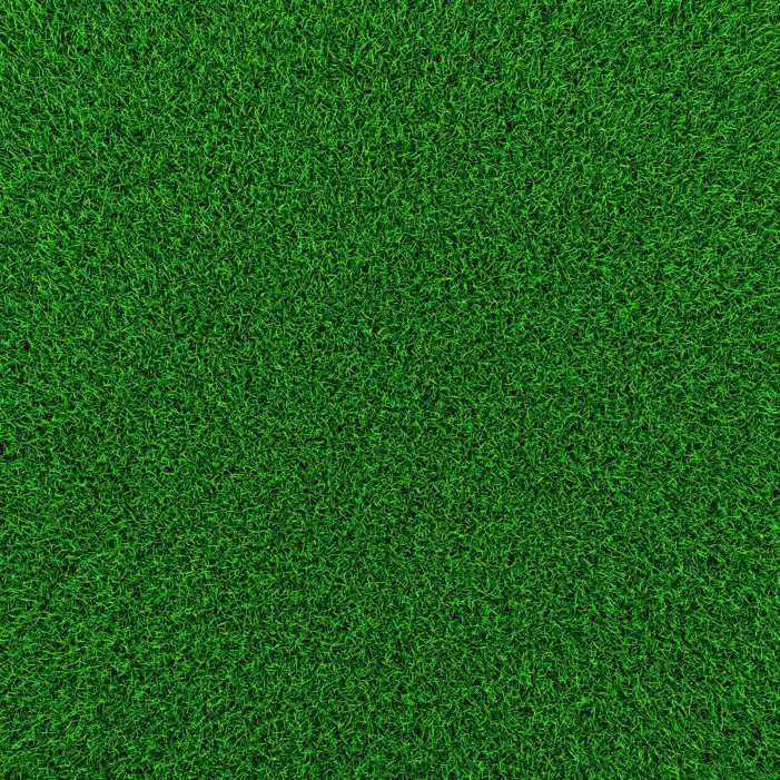 Texture Green Real Grass Field Background HD Images Free