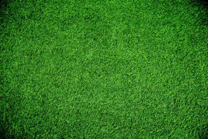 Texture Green Real Grass Field Background HD Images Free