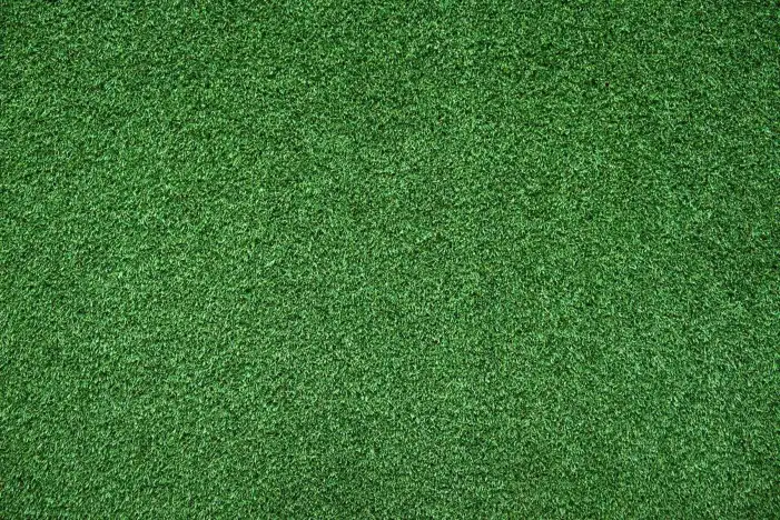 Texture Green Real Grass Field Background HD Images Free