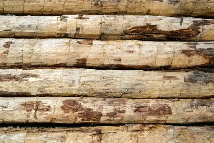 Texture Of Wood Background HD Images Free