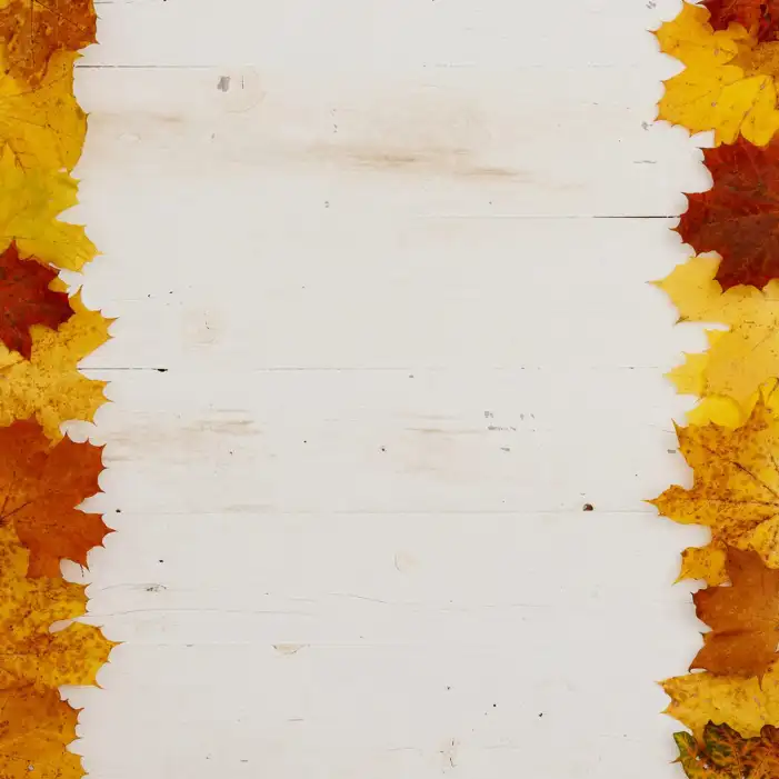 Thanksgiving Autumn Background HD Images