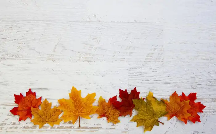 Thanksgiving Autumn  On A Table Background HD Images