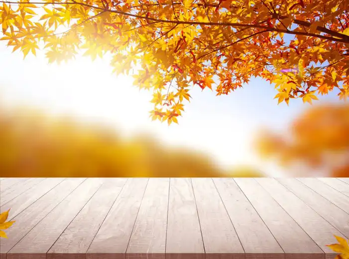 Thanksgiving Autumn  On A Table Background HD Images