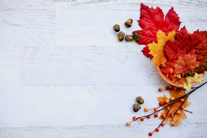 Thanksgiving Fruits Autumns On Wood Table Background HD Images