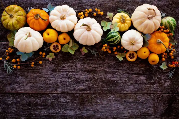 Thanksgiving Pumpkins And Acorns An A table Background HD Images