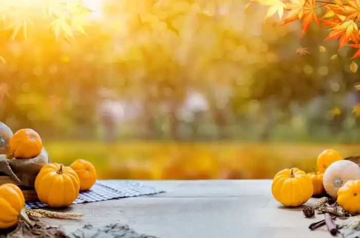 Thanksgiving Pumpkins And Acorns An A table Background HD Images