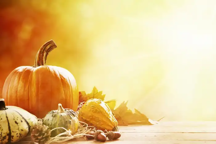 Thanksgiving Pumpkins And Acorns An A table Background HD Images