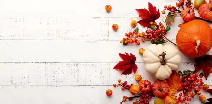 Thanksgiving Pumpkins And Acorns An A table Background HD Images