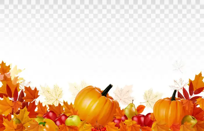 Thanksgiving Pumpkins And Autumn  On A Wood Surface Background HD Images