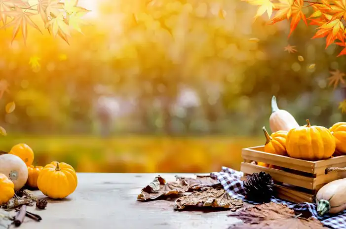 Thanksgiving Pumpkins And Berries Food On A Wood Surface Background