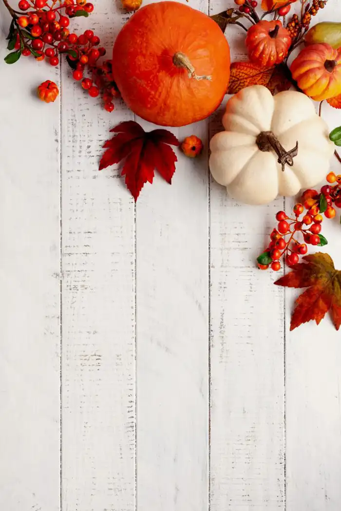 Thanksgiving Pumpkins And Berries On A Wood Surface Background HD Images