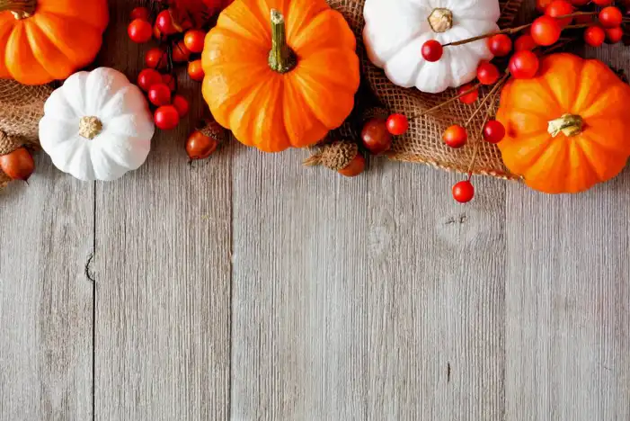 Thanksgiving Pumpkins And Berries On A Wood Surface Background