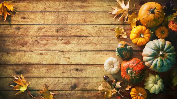 Thanksgiving Pumpkins And Food On A Wood Surface Background HD Images