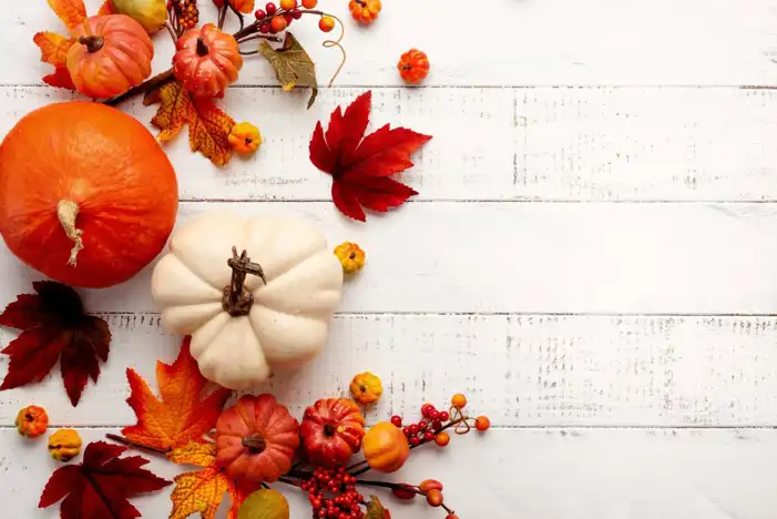 Thanksgiving Pumpkins And Food On A Wood Surface Background HD Images