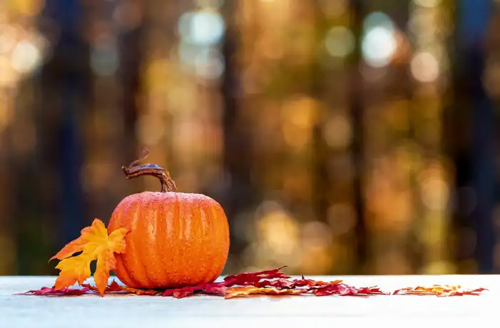 Thanksgiving Pumpkins And Food On A Wood Surface Background HD Images