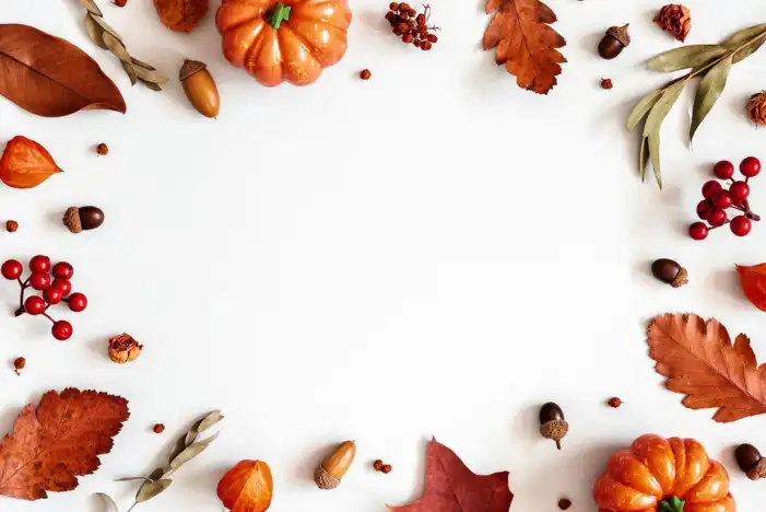 Thanksgiving Pumpkins And Food On A Wood Surface Background HD Images