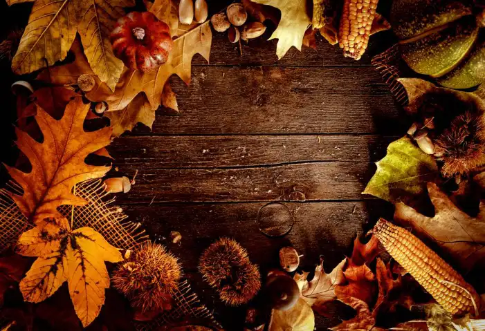 Thanksgiving Pumpkins And Food On A Wood Surface Background HD Images