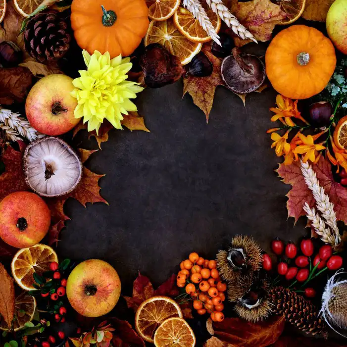 Thanksgiving Pumpkins And Food On A Wood Surface Background HD Images